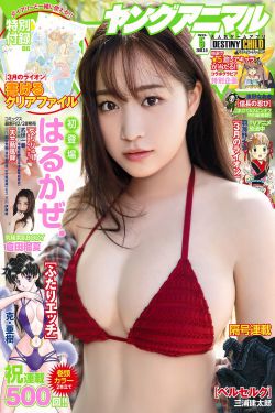 拆弹英雄